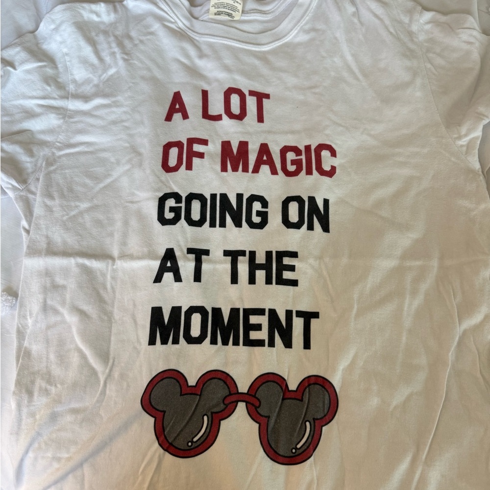 Small shop Taylor swift Disney crossover t